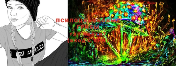 марки nbome Горняк