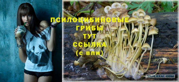 марки nbome Горняк