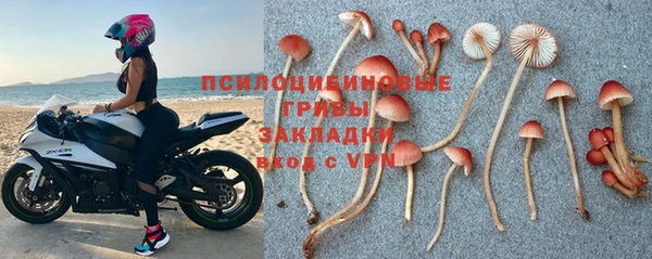 марки nbome Горняк