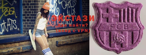 дживик Горнозаводск