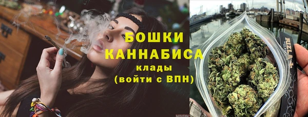 дживик Горнозаводск
