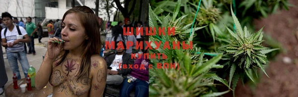дживик Горнозаводск