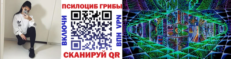 omg tor  Магнитогорск  Псилоцибиновые грибы мицелий  где купить наркоту 
